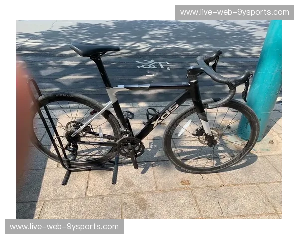 分析公路自行车：从选购到调校的全方位解读